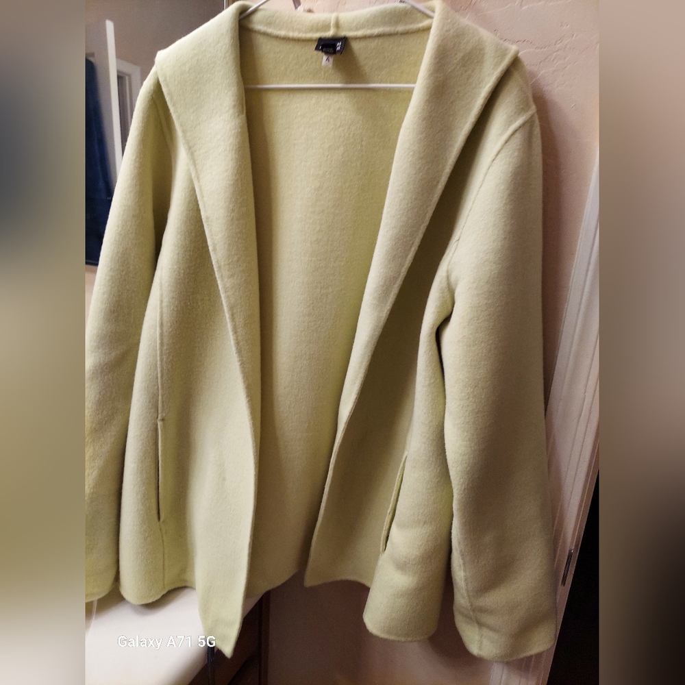 Eileen Fisher Light Green Blazer